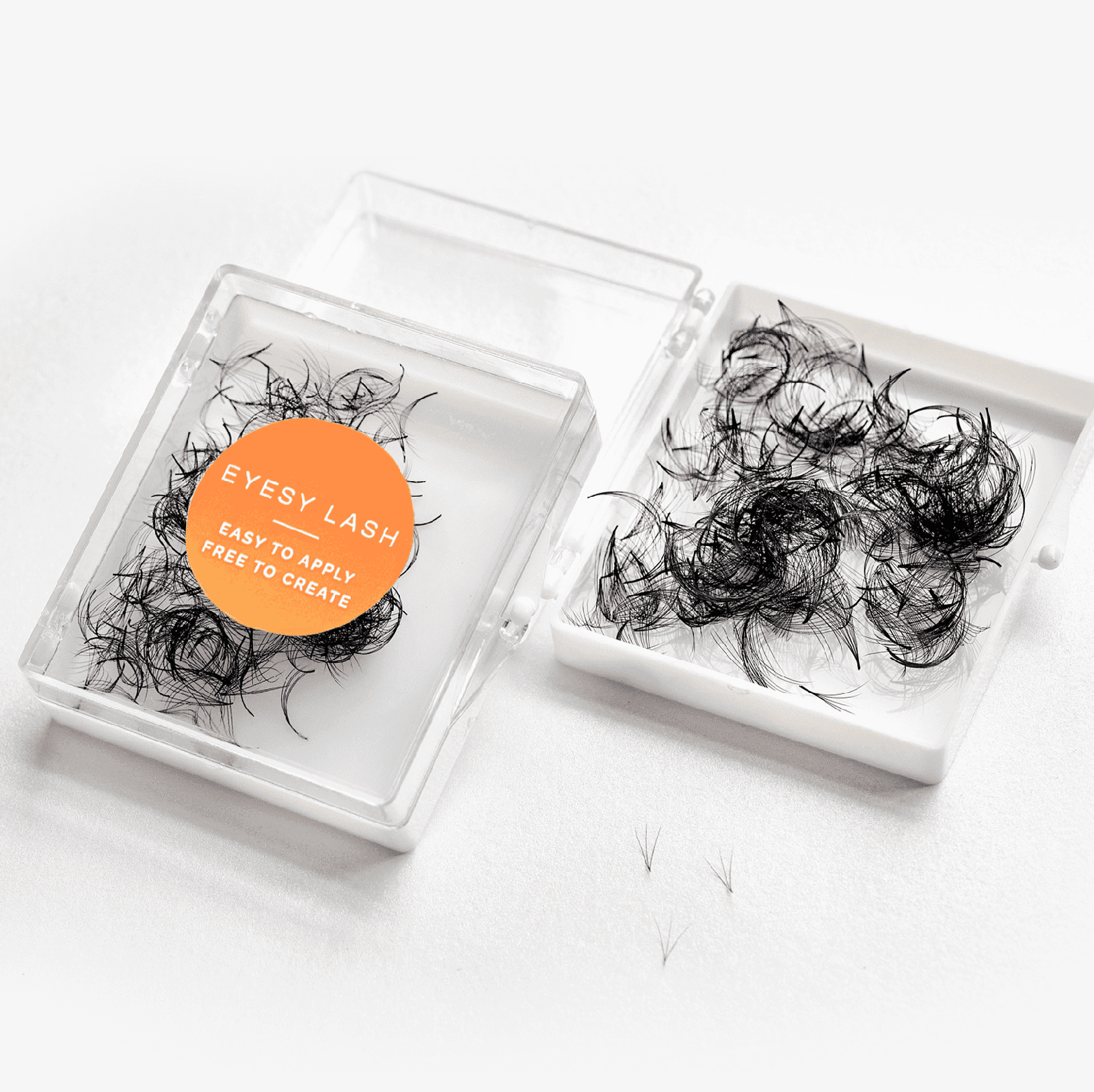 Camellia fans - Eyesy Lash