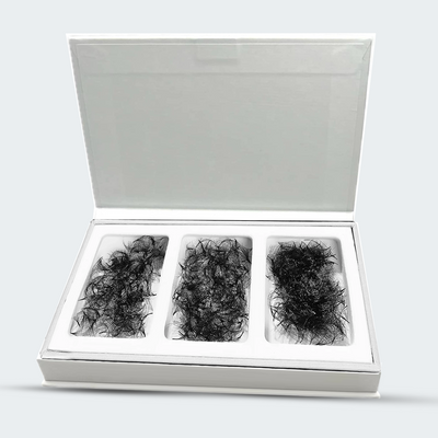 3in1 Custom Mix Tray | 1000 Promade fans 3D - 16D | for WHOLESALE Pre-order