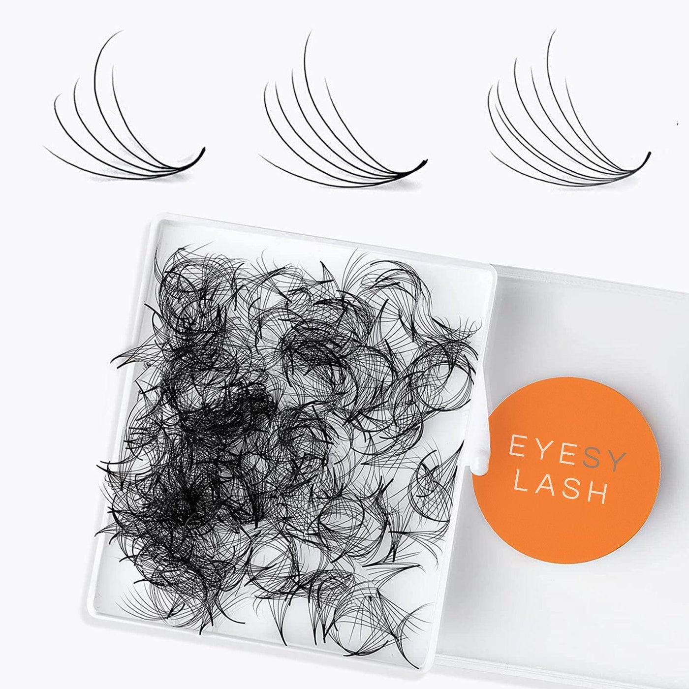 Camellia Fans 5D 6D - 0.07 | 8D - 0.05| 500 fans - Eyesy Lash