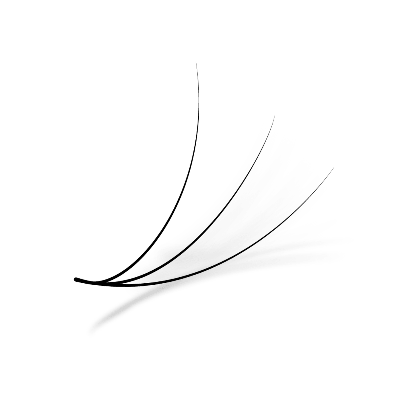 Promade fans 3D | 0.10 - 0.07 | 500 fans - Eyesy Lash