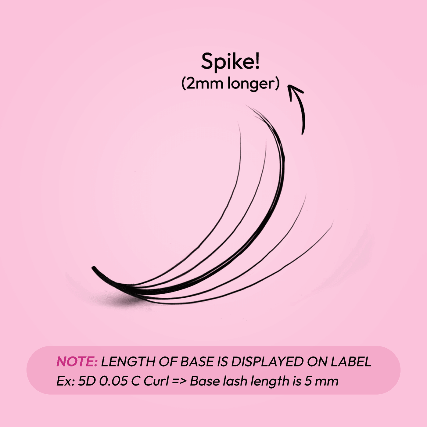Wispy Fans 5D 7D - 0.07 | 9D - 0.05 | 500 fans - Eyesy Lash