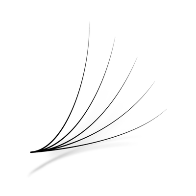 Promade fans 5D | 0.05 - 0.07 | 500 fans - Eyesy Lash