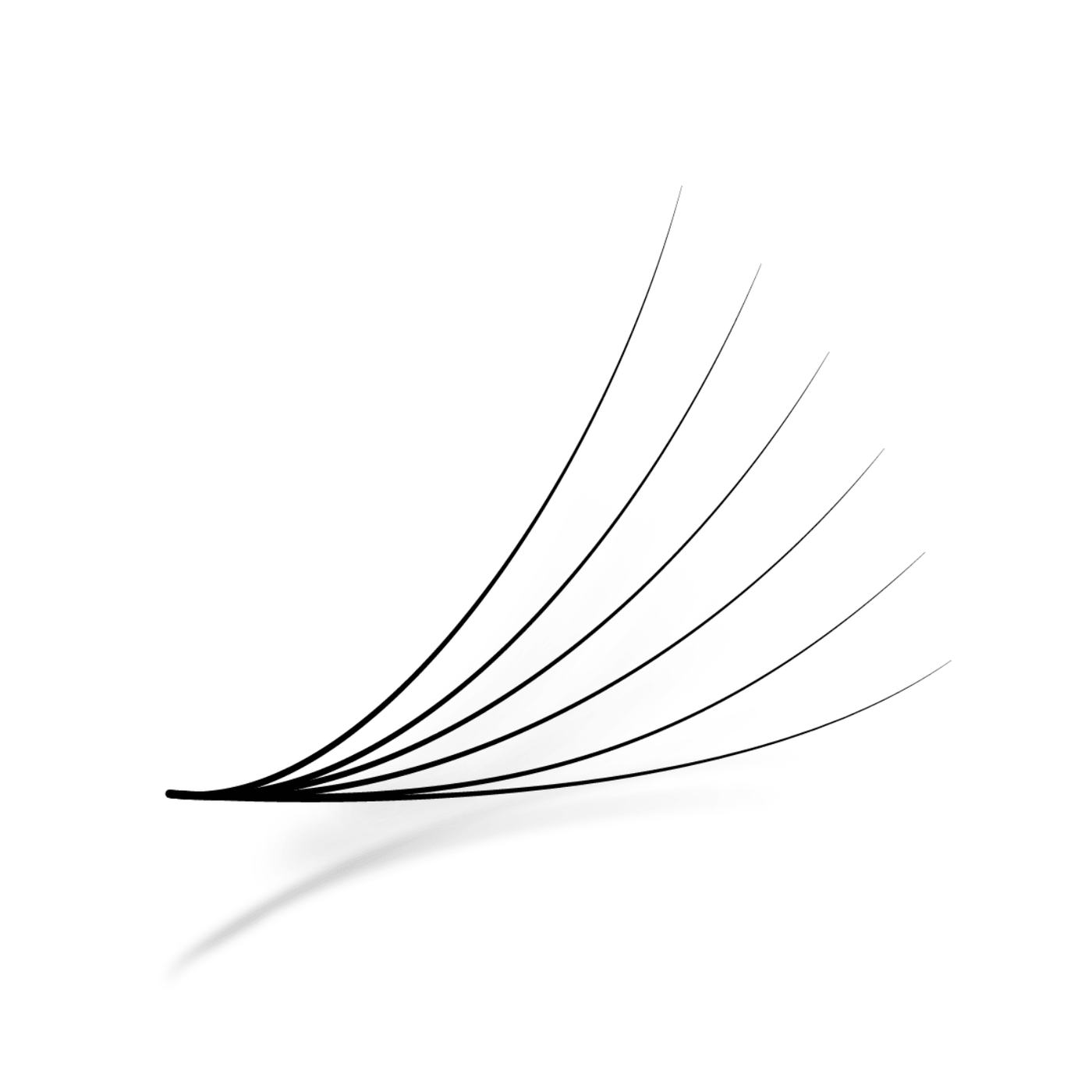 Promade fans 6D | 0.07 | 500 fans - Eyesy Lash