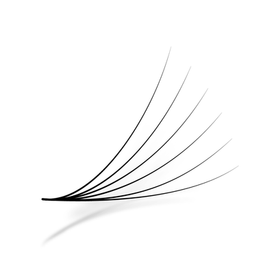 Promade fans 6D | 0.07 | 500 fans - Eyesy Lash