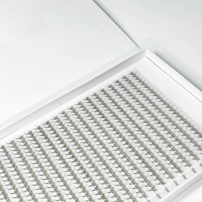 XL/XXL Tray Mixed Length | Promade fans 3D - 12D | for WHOLESALE Pre-order Only - Eyesy Lash