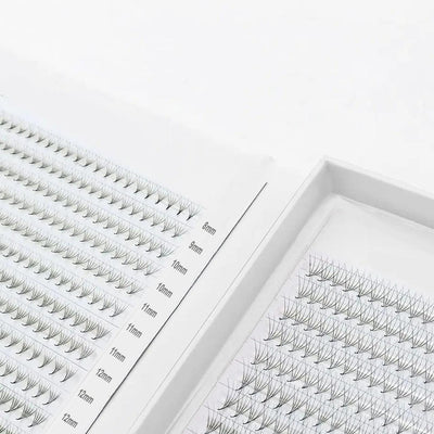 XL/XXL Tray Mixed Length | Promade fans 3D - 12D | for WHOLESALE Pre-order Only - Eyesy Lash