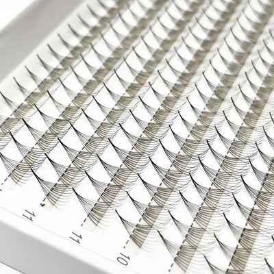 XL/XXL Tray Mixed Length | Promade fans 3D - 12D | for WHOLESALE Pre-order Only - Eyesy Lash