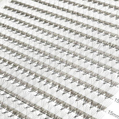 XL/XXL Tray Mixed Length | Promade fans 3D - 12D | for WHOLESALE Pre-order Only - Eyesy Lash